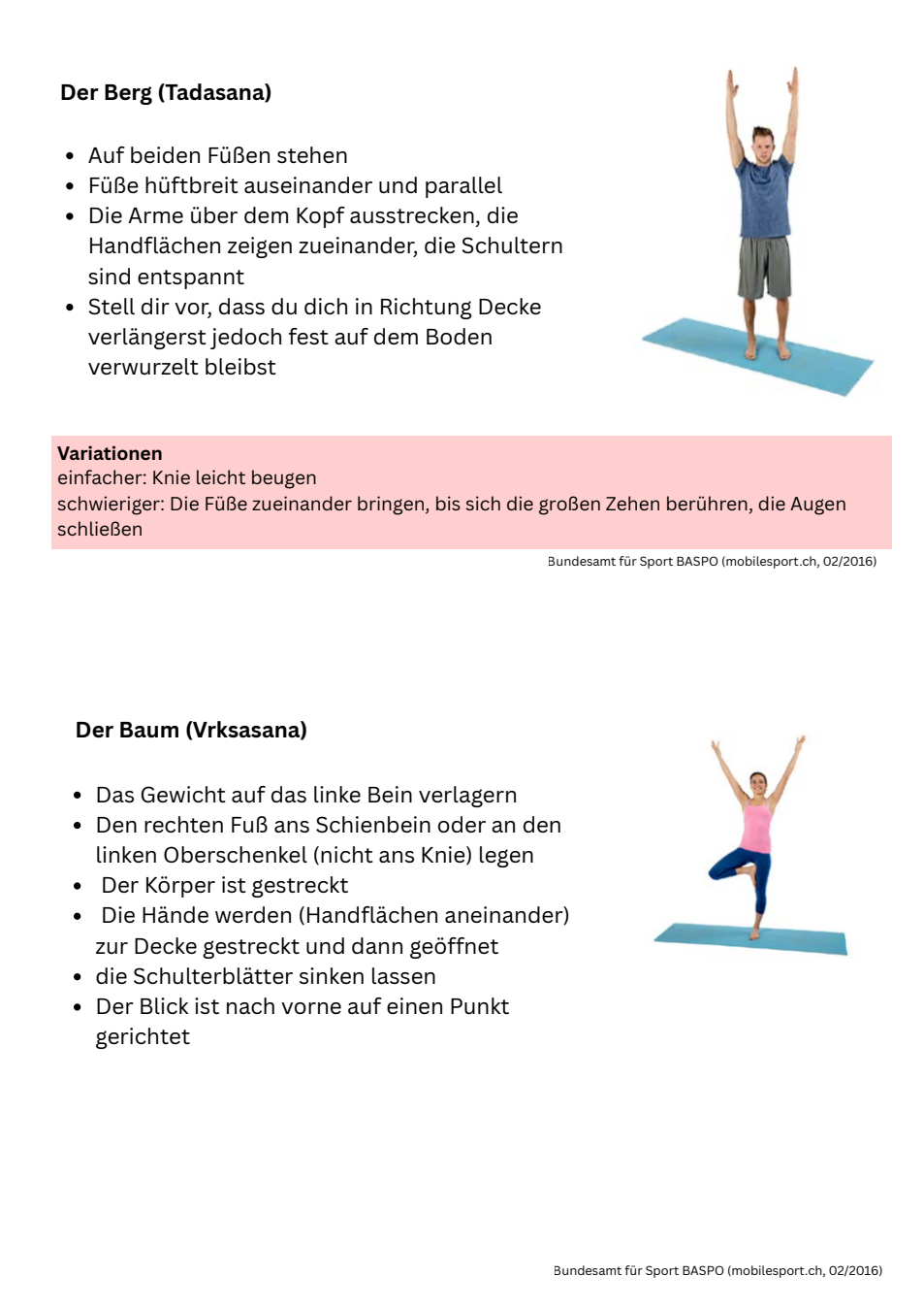 Vorschau Asana-Karten